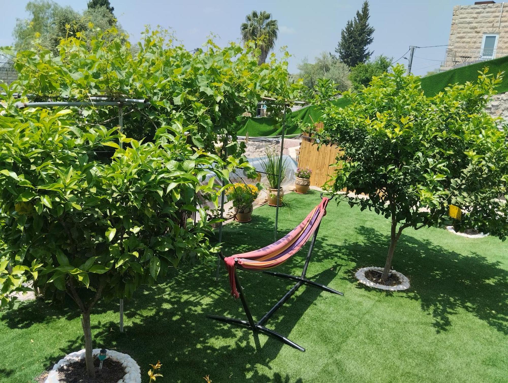 Апартаменти קסם עין כרם Єрусалим Екстер'єр фото